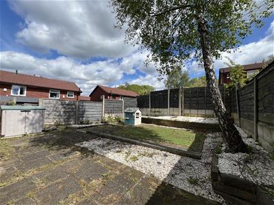 Picture 23